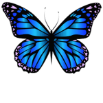 The Blue Butterflies