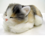 roblox kitty