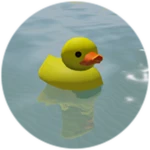The hidden duck.