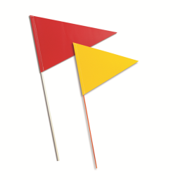 Snare the flag