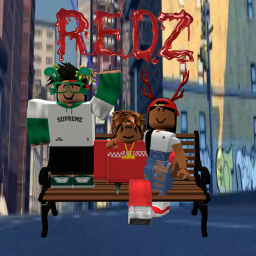 Organization REDZ (Beta)