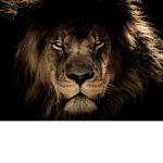 Lions from the underworld