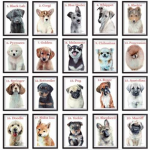 Dog fan place