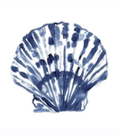 Bleuet azur