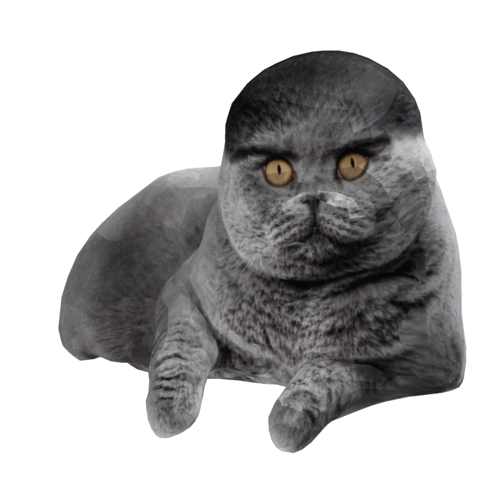 Folk Cat meme