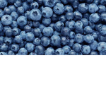 ~Lil Blueberries~