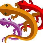 GeckoClub