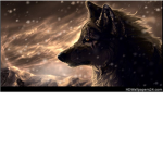 Warriors:Moonclan