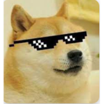 DogeArmyRoblox