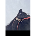 Barrel racing fan group