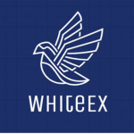 WhiteEx Airlines
