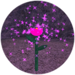 Pink Flower