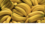 Banana rules!