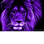Strong lions