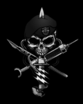 Special Forces Medics