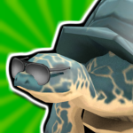 The Turtle Kingdom