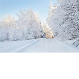 The snowy race!