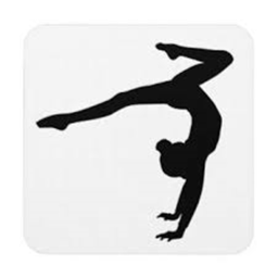 Creative Cats Gymnastics Interview Center!