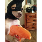 The_bad_boys_