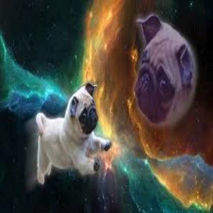 Space Pugs