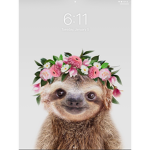 The Sloth Group For life!