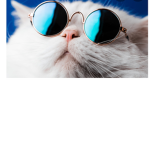Skidaddle skidoodle xD