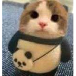 KittyPower RVL NA.