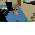DJ Cat Group