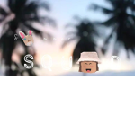 SUMMER SQUAD!!!!!!!