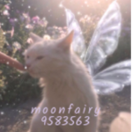 moonfairy