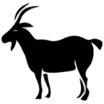 Depressed Goat Studios [DGS]