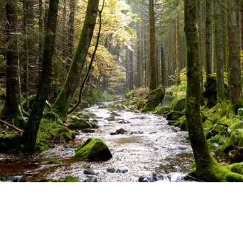 chill stream