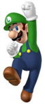 Luigi Soliders