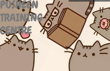 Pusheen Training Centre