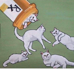Nugget nugs group
