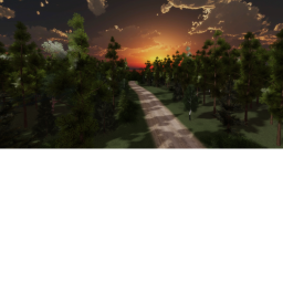 Sunset Forest