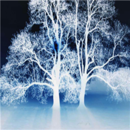 Scary Tree... Roblox decal