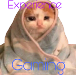 Experience Gaming