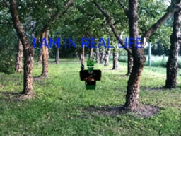 Bloxlife! (Real life city!) icon