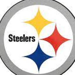 Pittsburgh Steelers Field