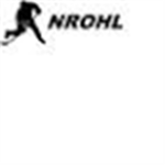 ##### minor league