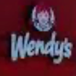 destroy a wendys or something idk icon