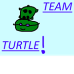 TEAM TURTLE FOR EVER