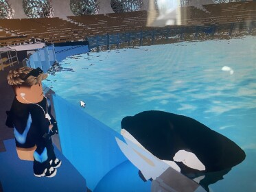  Yakakni Japan Orca Stadium Free Admin