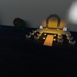 Naru and Starry's Wedding