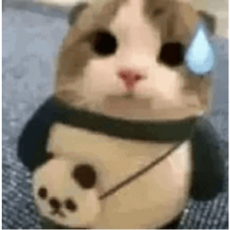 shindones new era