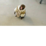the funny monkey raid