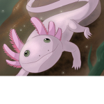 Axolotl Secret Hangout