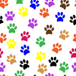 Paws In