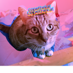kitty’s in pink